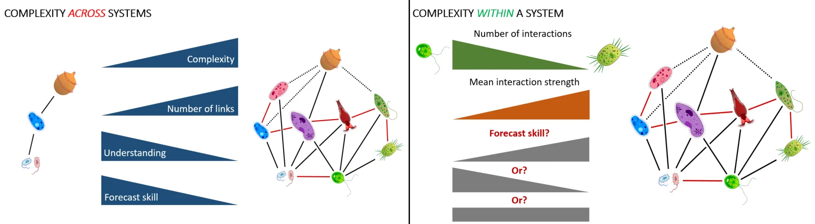Two-panel schematic. Left: across systems, complexity and number of links rise while understanding and forecast skill fall. Right: within one system, species trade many interactions against strong ones, and the consequence for forecast skill is left open.