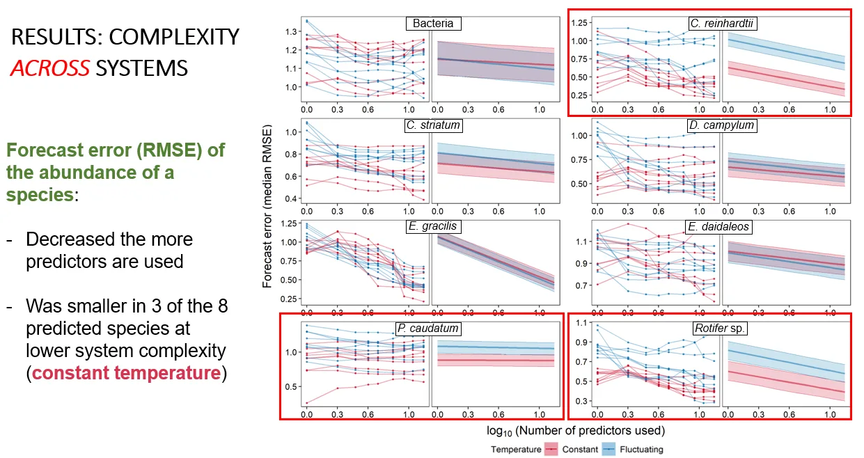 Eight per-species panels of median forecast error against the log number of predictors used, overlaid for constant and fluctuating temperature, with three species boxed in red.