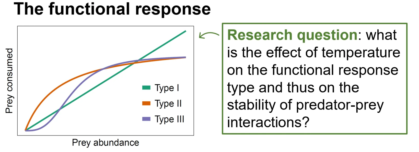 Plot of the Type I, Type II and Type III functional response curves, prey consumed against prey abundance, beside the study's research question.