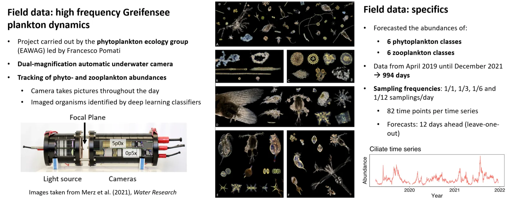 The Greifensee monitoring setup: the dual-magnification underwater camera, examples of the imaged plankton, and the specifics of the time series: twelve classes, 994 days, four sampling frequencies, 82 time points, twelve-day-ahead forecasts.