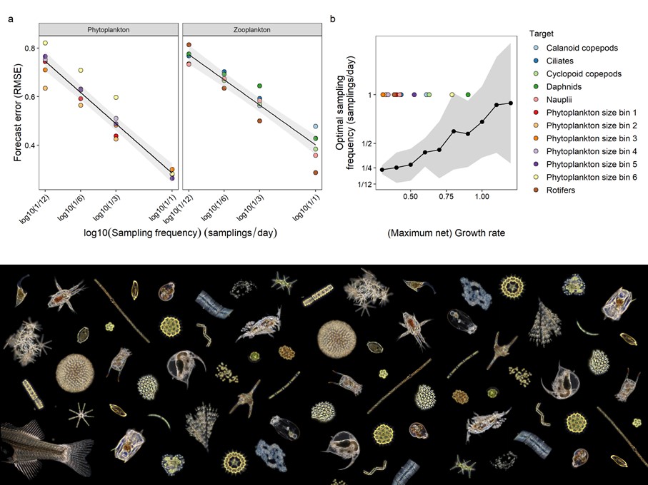 Figure adapted from my Ecology 2024 paper