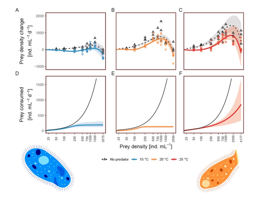 Figure 1 adapted from my JANE 2019 paper